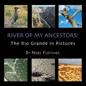 River of My Ancestors de Noel Marie Fletcher