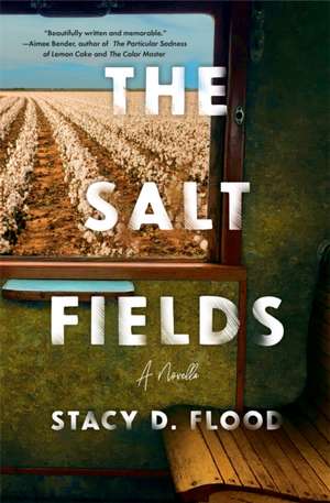 The Salt Fields de Stacy Flood