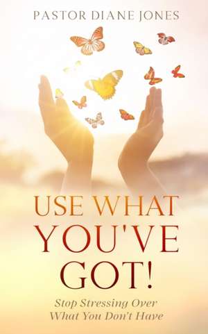 Use What You've Got de Diane Jones