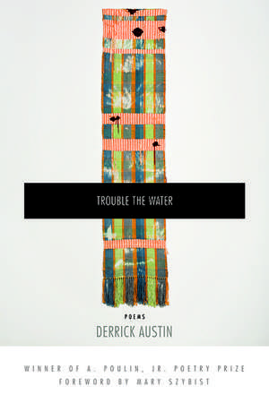 Trouble the Water de Derrick Austin