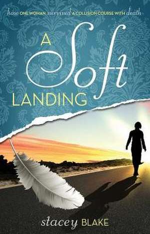 A Soft Landing de Stacey Blake