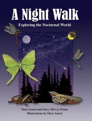 A Night Walk de Sheri Amsel