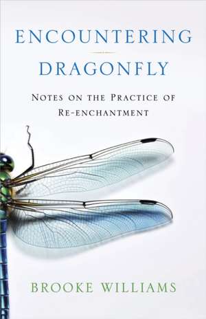 Encountering Dragonfly de Brooke Williams