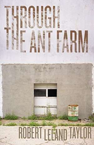 Through the Ant Farm de Robert Leland Taylor