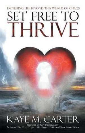 Set Free to Thrive de Kaye M. Carter