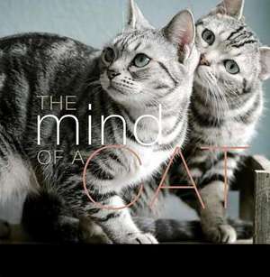 The Mind of a Cat de Liz Abeler Blaylock