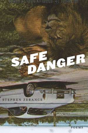 Safe Danger de Stephen Zerance