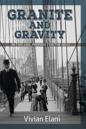 Granite and Gravity de Vivian Elani