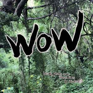 WOW by Junko: English & Japanese de Junko