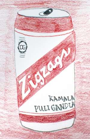 Zigzags de Kamala Puligandla