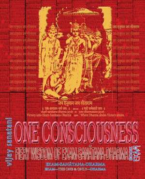 One Consciousness de Vijay Sanatani