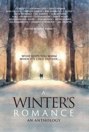 A Winter's Romance de Sara Daniell