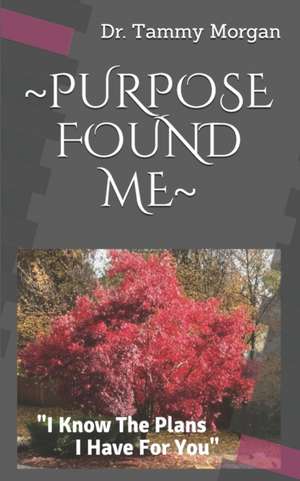 Purpose Found Me: I Know The Plans I Have For You de Tammy Morgan