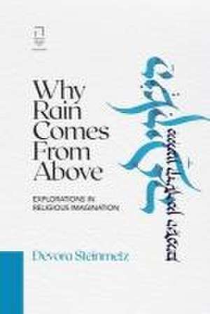 Why Rain Comes from Above de Devora Steinmetz