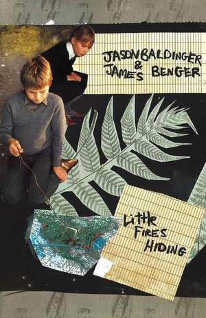 Little Fires Hiding de Jason Baldinger