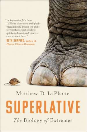 Superlative de Matthew D. LaPlante