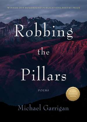 Robbing the Pillars de Michael Garrigan