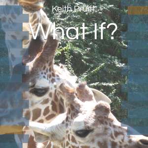 What If? de Keith Pruitt