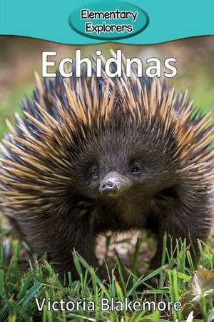 Echidnas de Victoria Blakemore