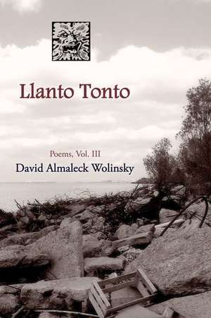 Llanto Tonto de David Almaleck Wolinsky