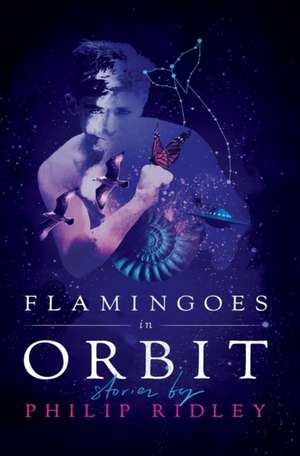 Flamingoes in Orbit de Philip Ridley