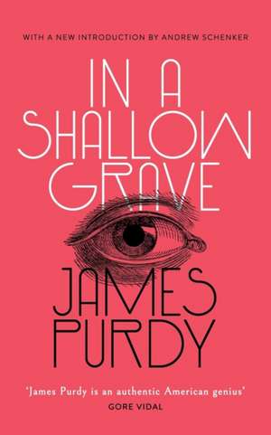 In a Shallow Grave (Valancourt 20th Century Classics) de James Purdy