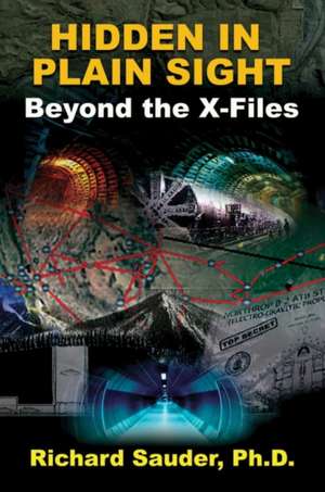 Hidden in Plain Sight: Beyond the X-Files de Richard Sauder