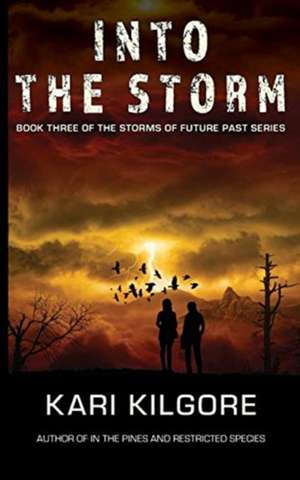 Into the Storm de Kari Kilgore