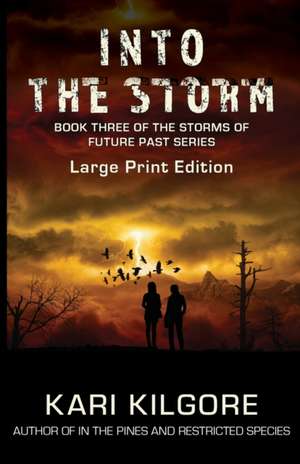Into the Storm de Kari Kilgore