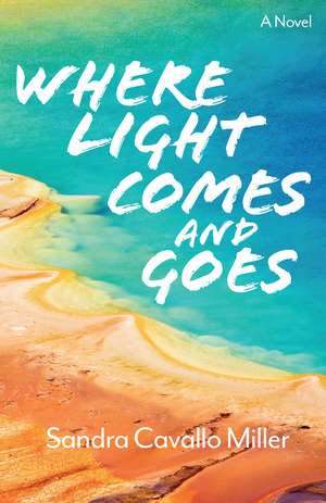 Where Light Comes and Goes: A Novel de Sandra Cavallo Miller