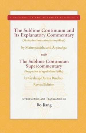 The Sublime Continuum and Its Explanatory Commentary de Bo Jiang