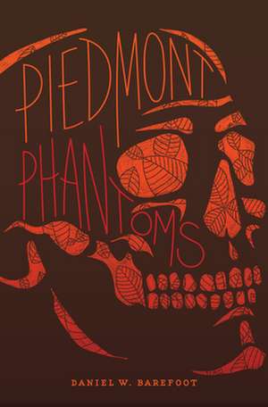 Piedmont Phantoms de Daniel W. Barefoot