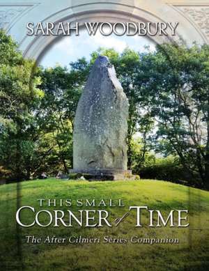 This Small Corner of Time de Sarah Woodbury