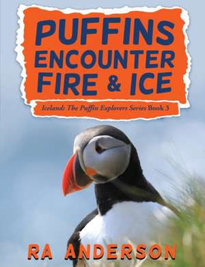 Puffins Encounter Fire and Ice de Ra Anderson