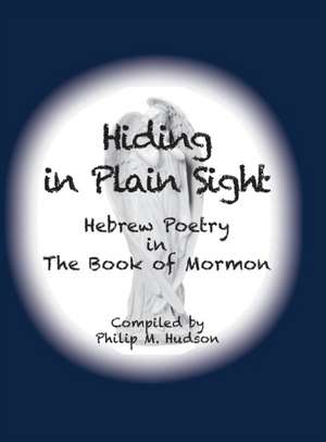 Hiding in Plain Sight de Philip M Hudson