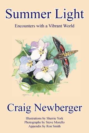 Summer Light de Craig Newberger