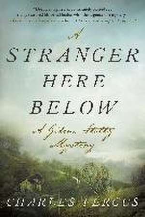 A Stranger Here Below: A Gideon Stoltz Mystery de Charles Fergus