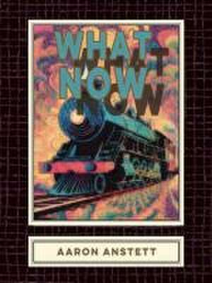 What Now de Aaron Anstett