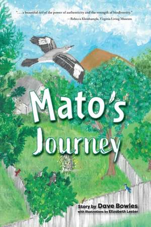 Mato's Journey de Dave Bowles