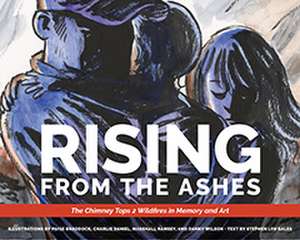 Rising from the Ashes: The Chimney Tops 2 Wildfires in Memory and Art de Stephen Lyn Bales