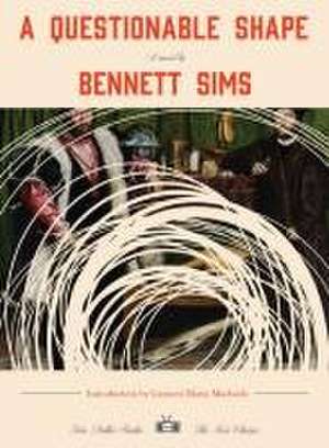 A Questionable Shape de Bennett Sims