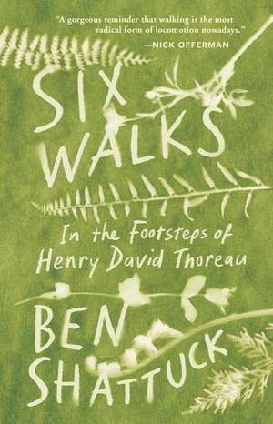 Six Walks de Ben Shattuck