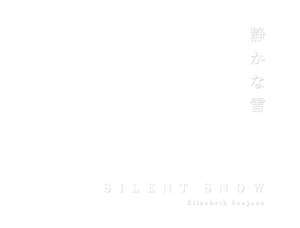 Silent Snow de Elizabeth Sanjuan