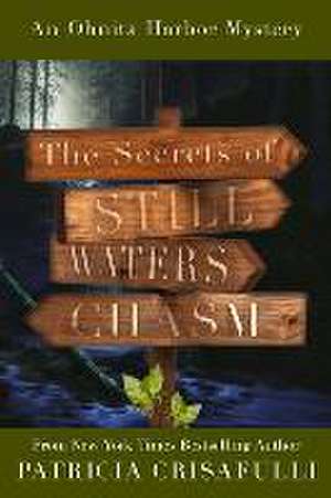 The Secrets of Still Waters Chasm de Patricia Crisafulli