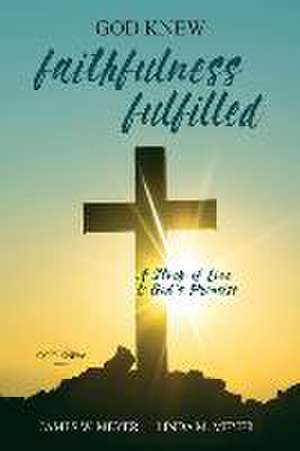 Faithfulness Fulfilled de Linda M Meyer