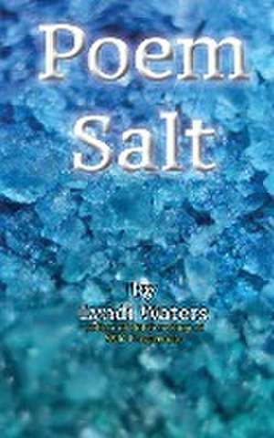 Poem Salt de Lyndi Waters