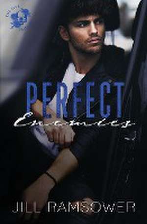 Perfect Enemies de Jill Ramsower