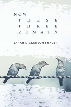 Now These Three Remain de Sarah Dickenson Snyder