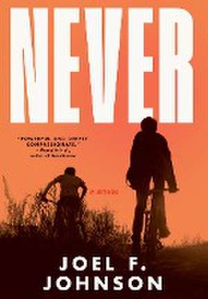 Never de Joel F Johnson