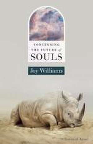 Concerning the Future of Souls de Joy Williams